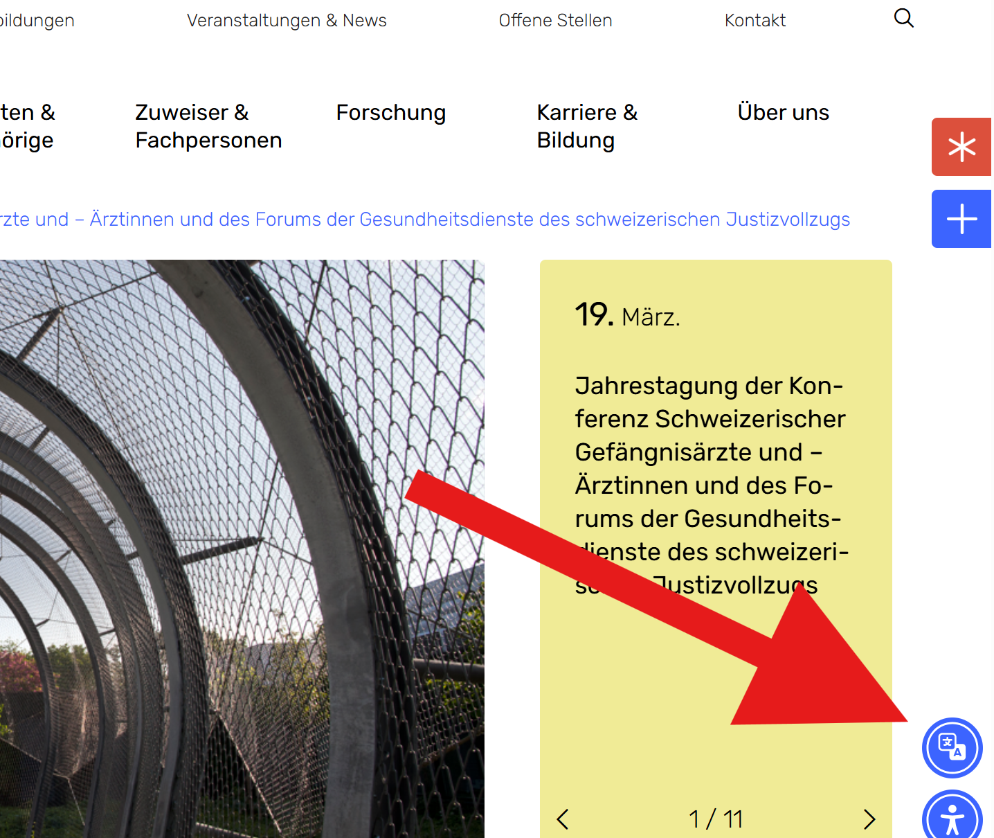 Screenshot 2025 11 29 084249